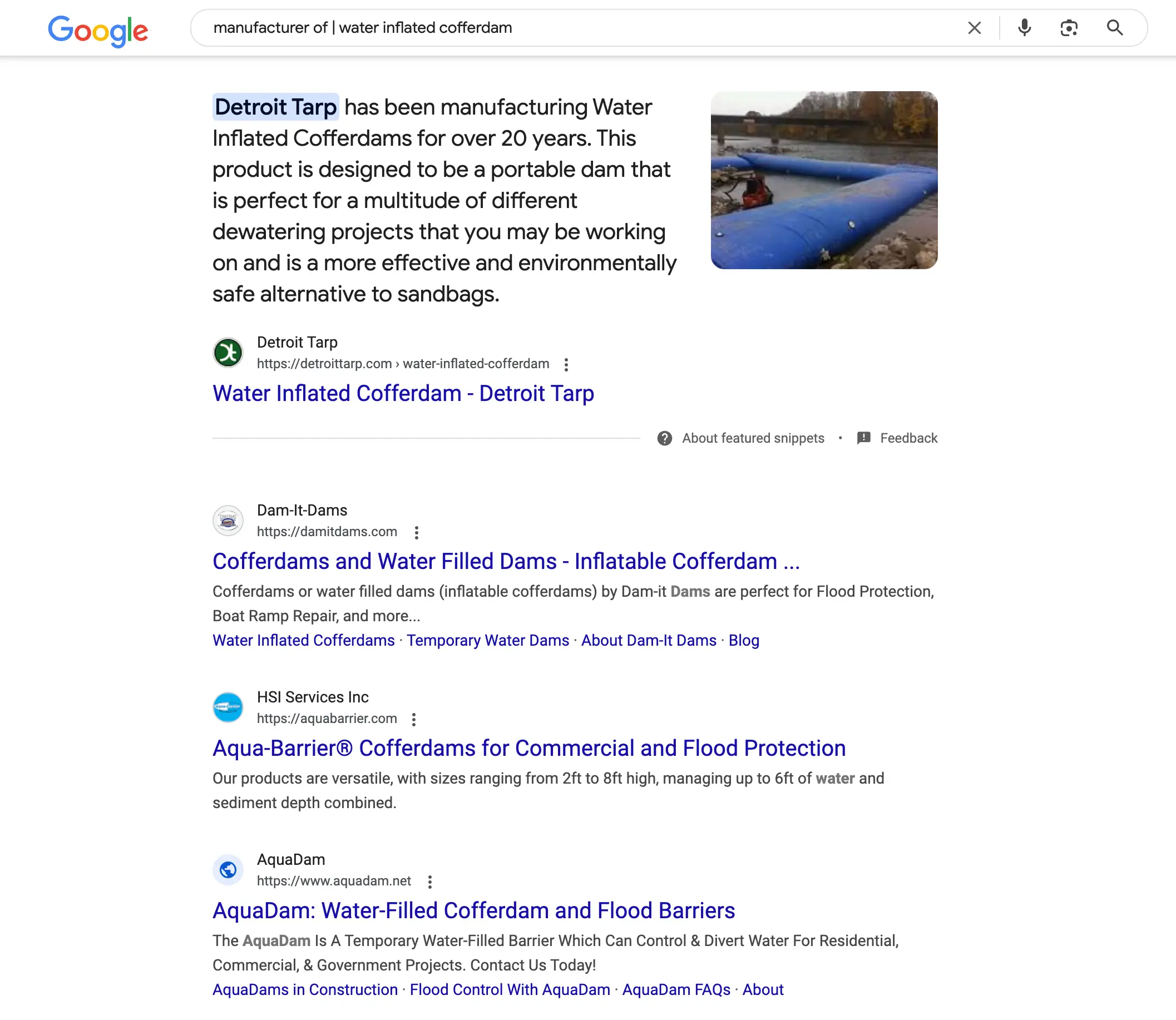 Detroittarpgoogle 2.webp